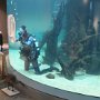 Hendrik reinigt wieder die Wände des Aquariums
